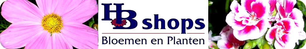 Hertsenberg Flower Shops