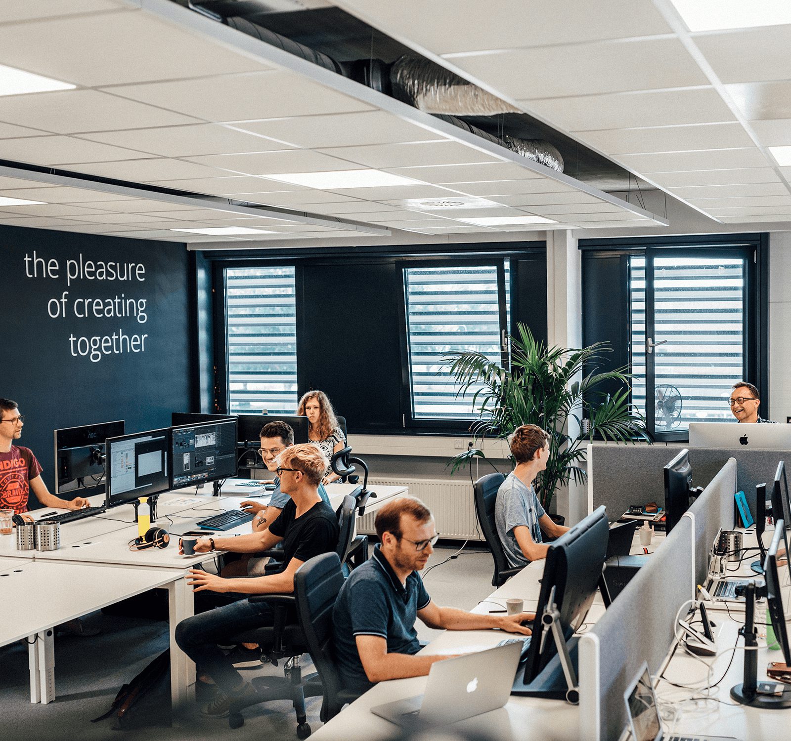 BrightbirdFluctus_foto1